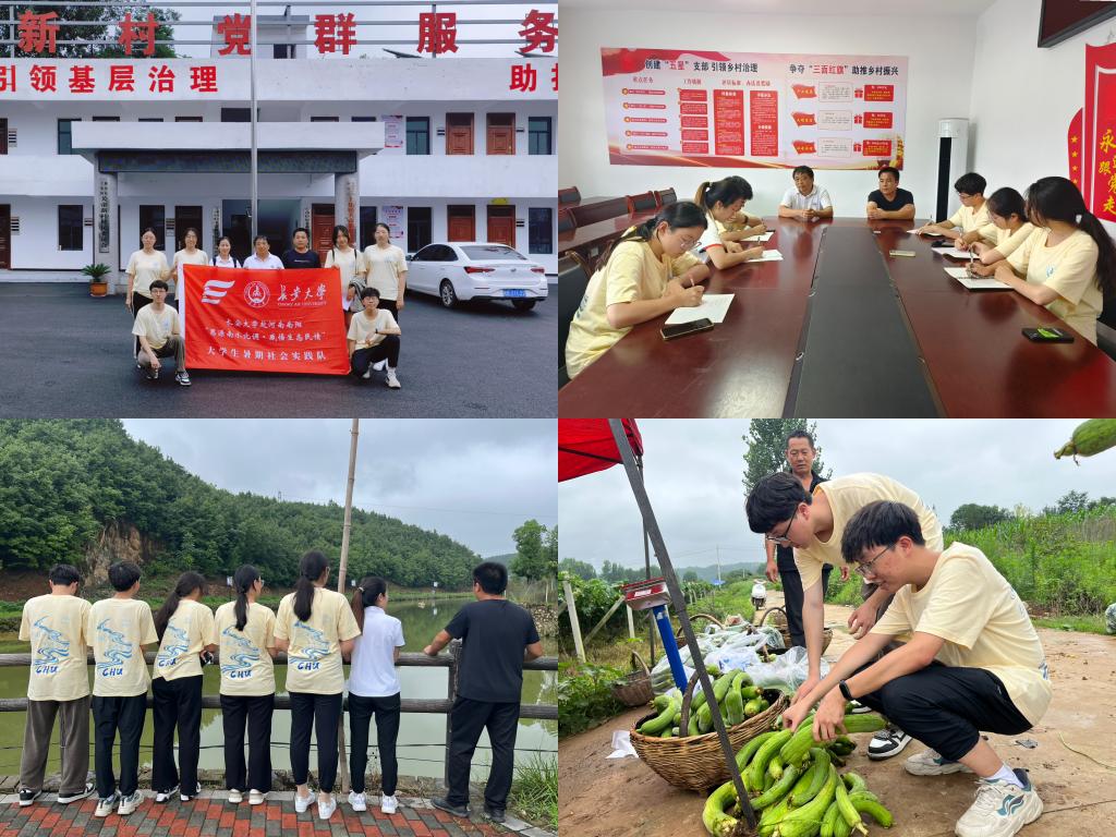 麻将胡了(中国)官方网站