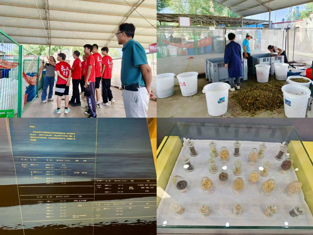 麻将胡了(中国)官方网站